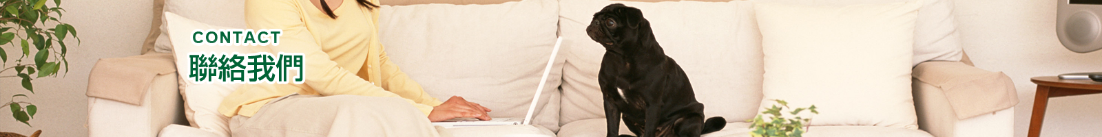 聯絡我們