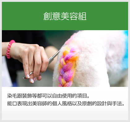 創意美容組